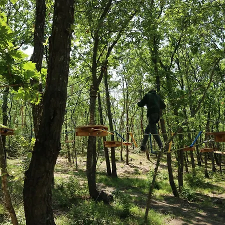 Park Bellevue فندق