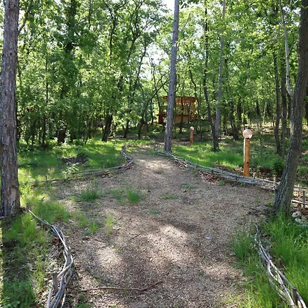 فندق Park Bellevue غولدن ساندز