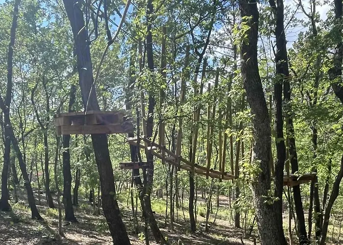 Park Bellevue Ξενοδοχείο