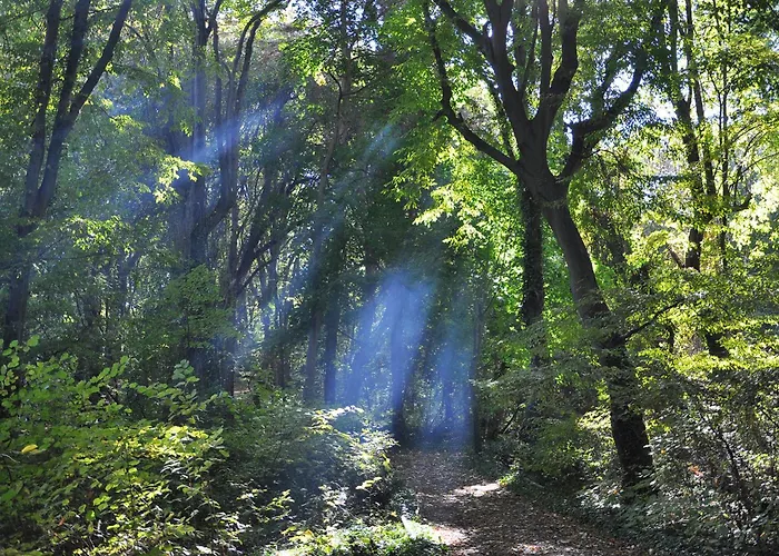 فندق Park Bellevue غولدن ساندز