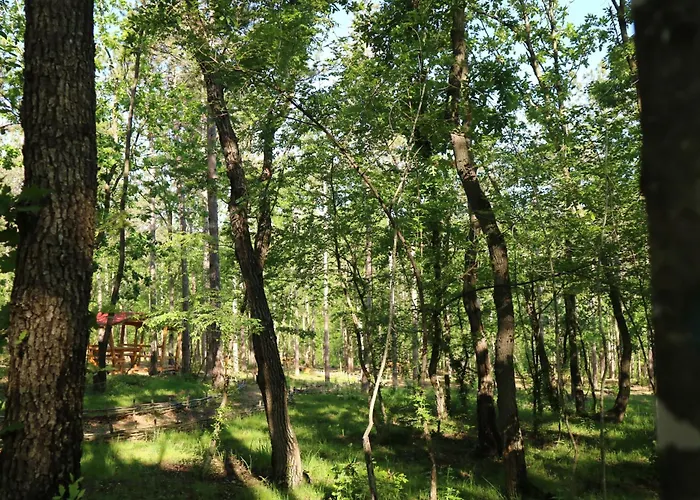 Ξενοδοχείο Park Bellevue 3*