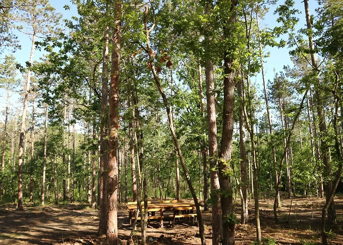 Park Bellevue فندق غولدن ساندز