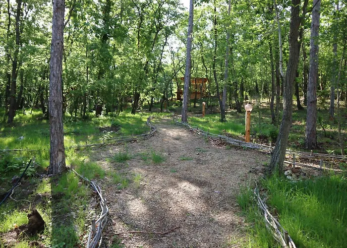 فندق Park Bellevue غولدن ساندز