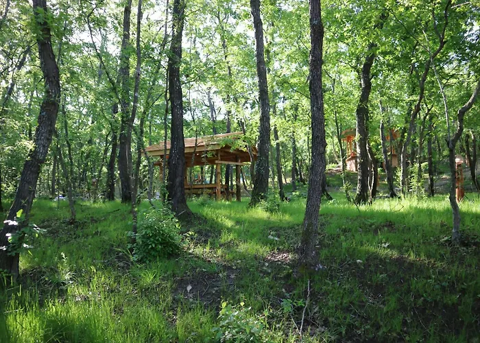 Ξενοδοχείο Park Bellevue