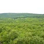 Отель Park Bellevue 3*