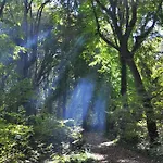 Hotel Park Bellevue Zlate písky