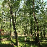 Отель Park Bellevue 3*