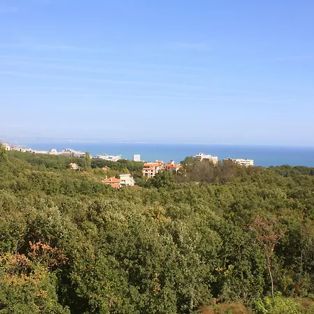 Park Bellevue 호텔