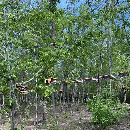 Park Bellevue 골든샌드