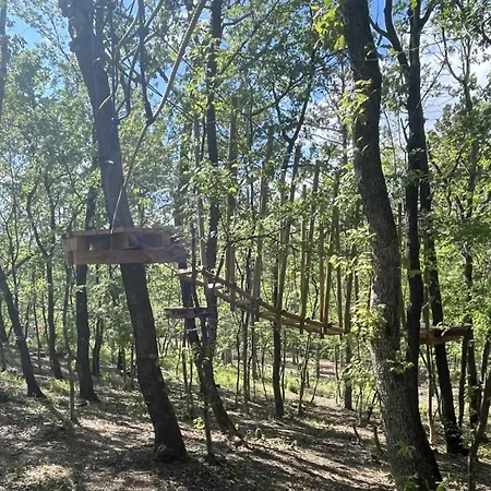 Park Bellevue Отель