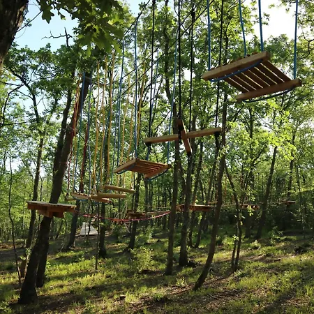 호텔 Park Bellevue