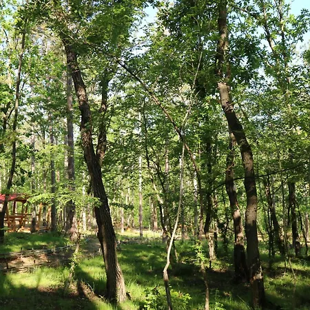 호텔 Park Bellevue 3*