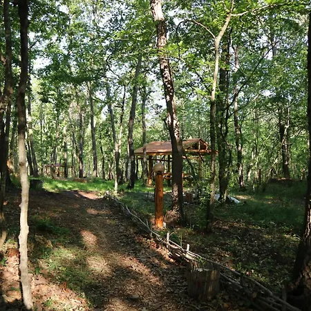 Park Bellevue 3*