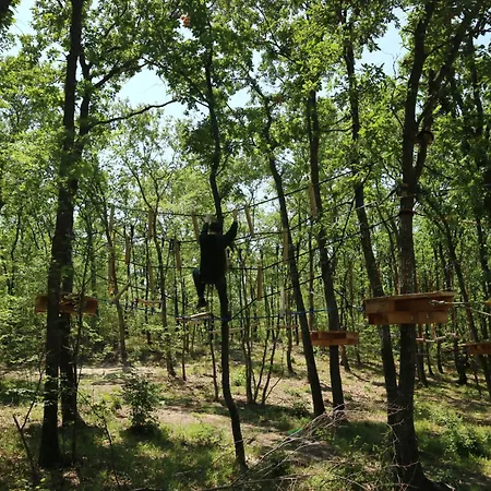 Park Bellevue 골든샌드