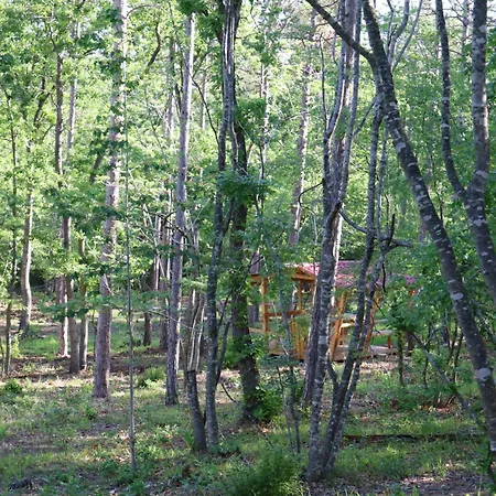 Park Bellevue 3* 골든샌드