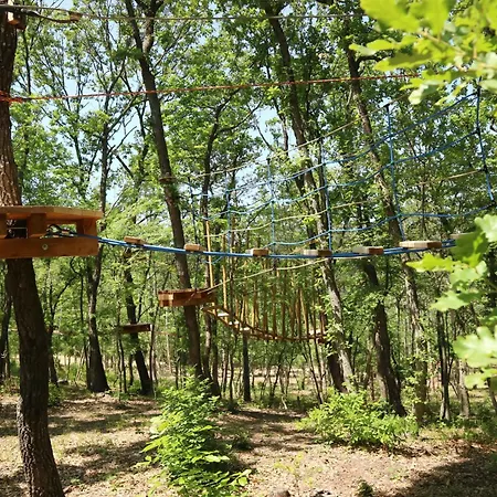 Park Bellevue 호텔