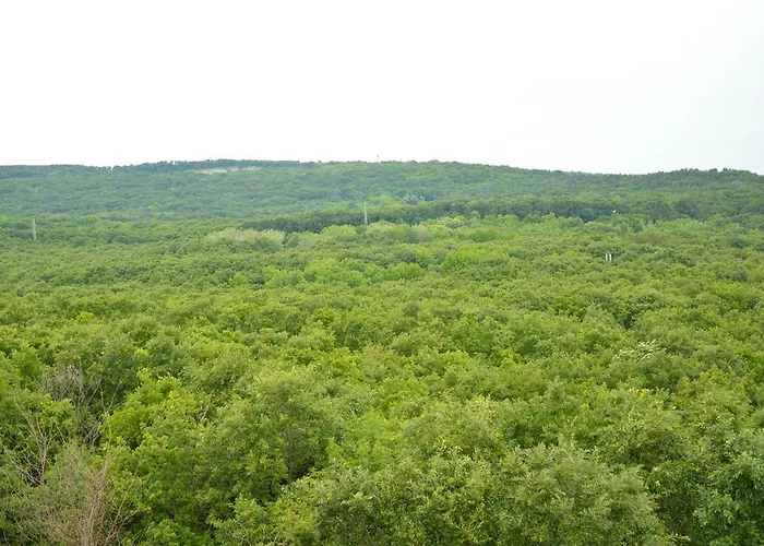 Szálloda Park Bellevue 3*