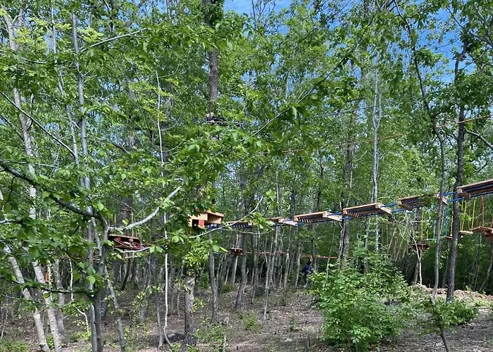 Park Bellevue Aranyhomok