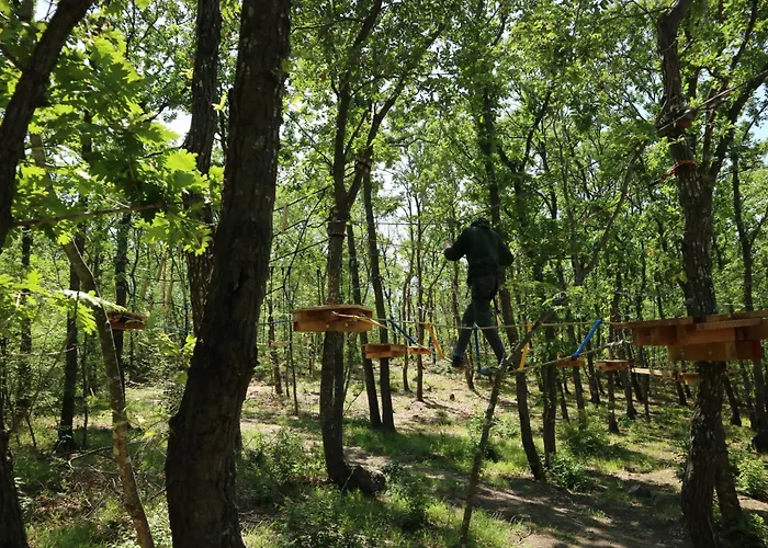 Park Bellevue Szálloda