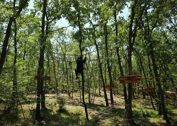 Park Bellevue Aranyhomok