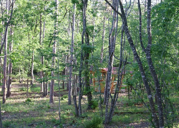 Park Bellevue 3* Aranyhomok